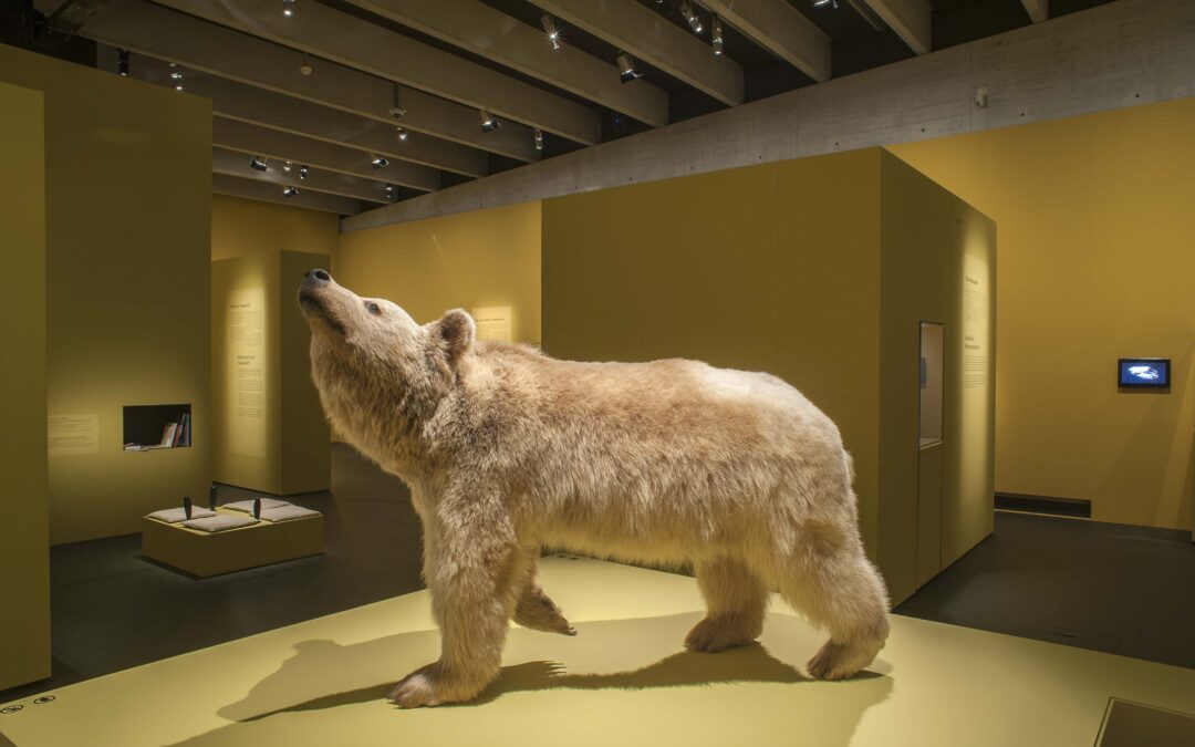 110_L&rsquo;Ours