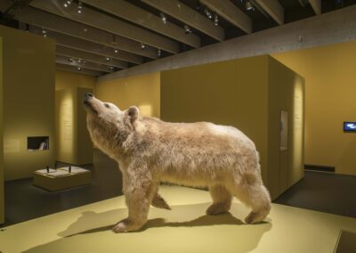 110_L&rsquo;Ours